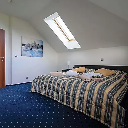 Krusnohorsky Dvur 3* Dubi (Usti nad Labem)