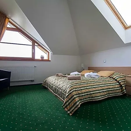 Hotel Krusnohorsky Dvur Dubi (Usti nad Labem)